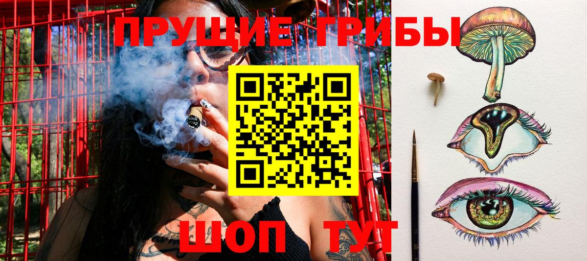 Псилоцибиновые грибы мицелий  цены   Гай  Вход с VPN 