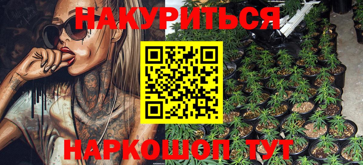 Гай  Каннабис VHQ  Каннабис гибрид  Вход с VPN  Канабис ГИДРОПОН 